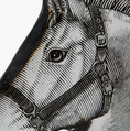 Load image into Gallery viewer, Equestrian Decorative Bookends