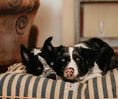 Load image into Gallery viewer, Striped Cotton Pet Bed