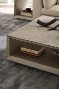 Load image into Gallery viewer, Contemporary wooden coffee table with ash driftwood veneer top and open storage space holding books on gray rug