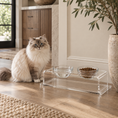 Load image into Gallery viewer, A fluffy cream and gray cat sits beside a clear acrylic elevated pet feeder and water bowl set on a wood floor in a bright indoor room.