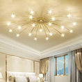 Load image into Gallery viewer, STARRY NIGHT CHANDELIER
