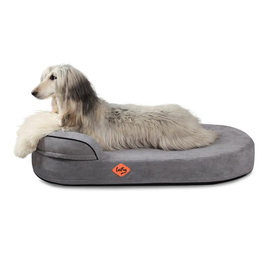 Laifug Memory Foam Oval Dog Bed