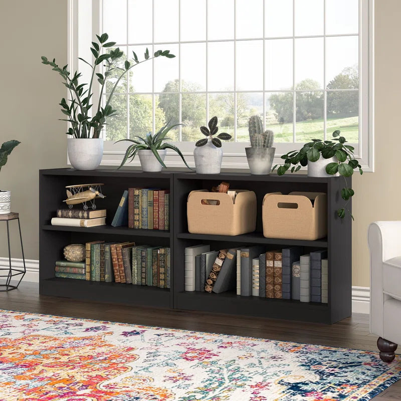 2-shelf black bookcase in room with books on it and plants on top of it by a window