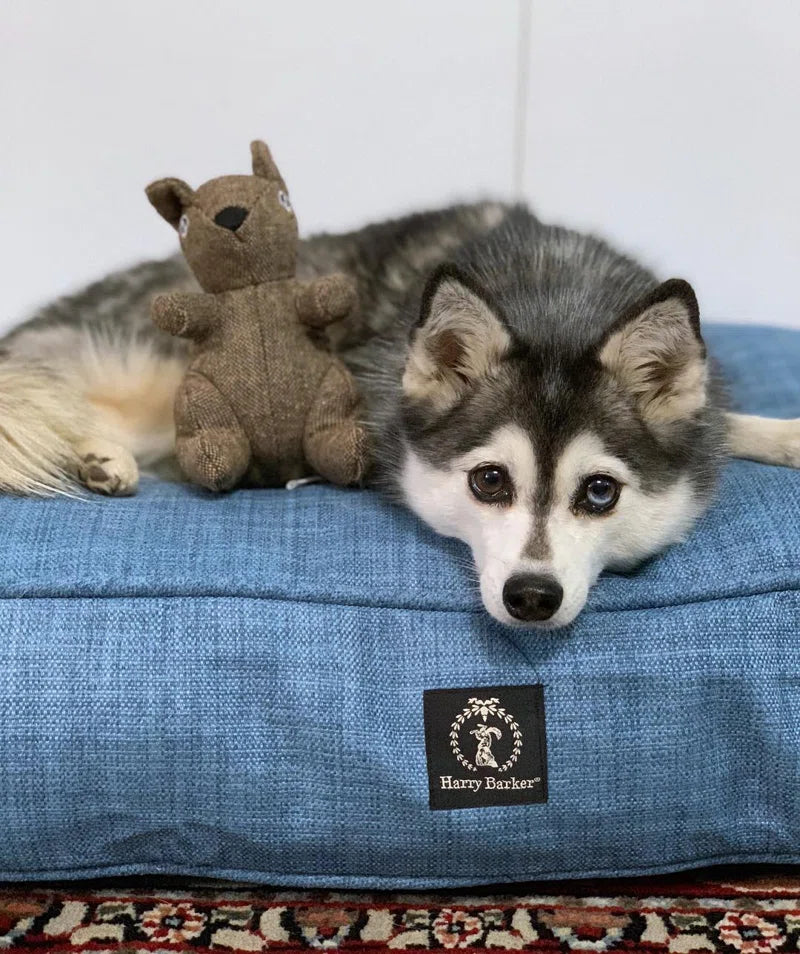 Blue Teagan Pet Bed