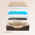 Load image into Gallery viewer, The Minimalist Pup Bed
