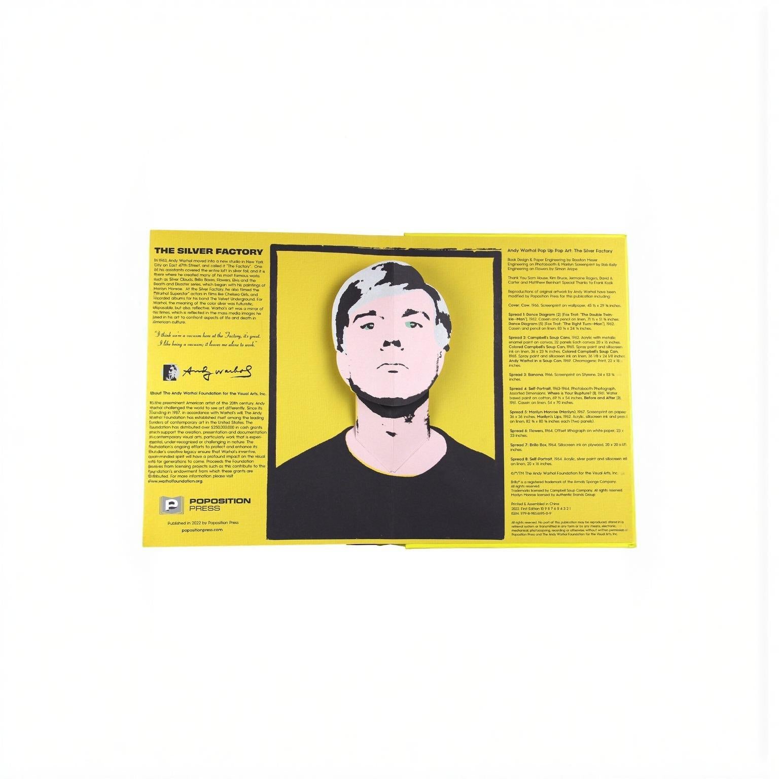 Andy Warhol Pop up Pop Art Book