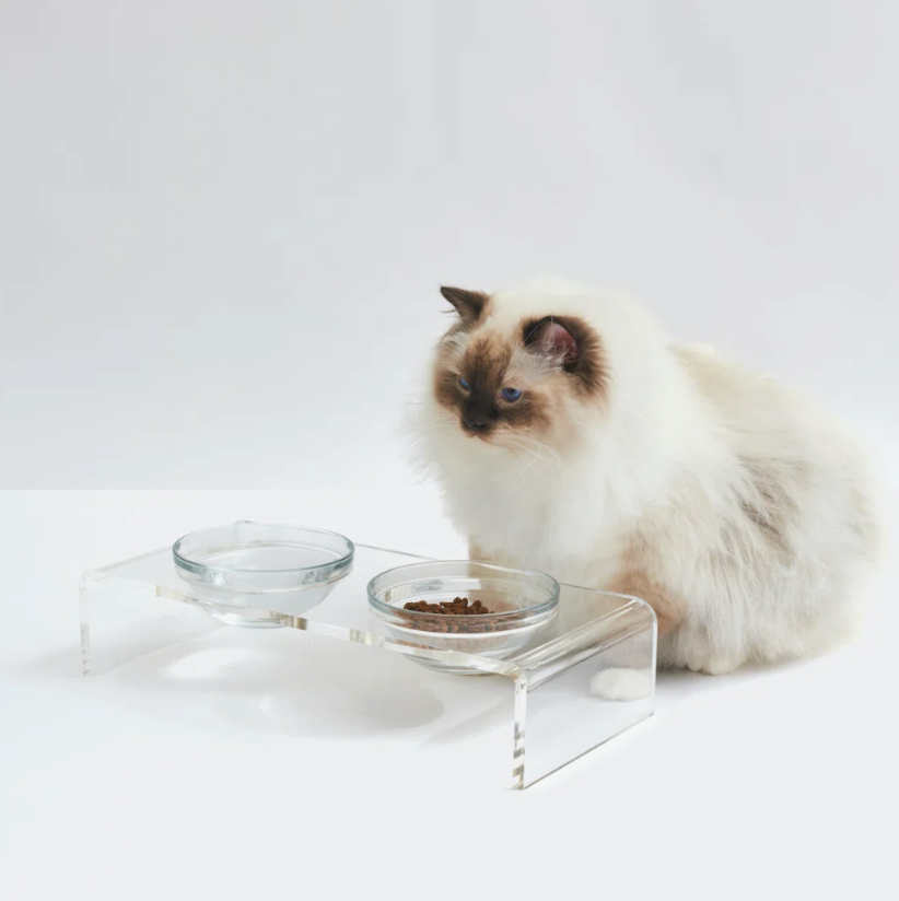 Clear Elevated Dog Bowl