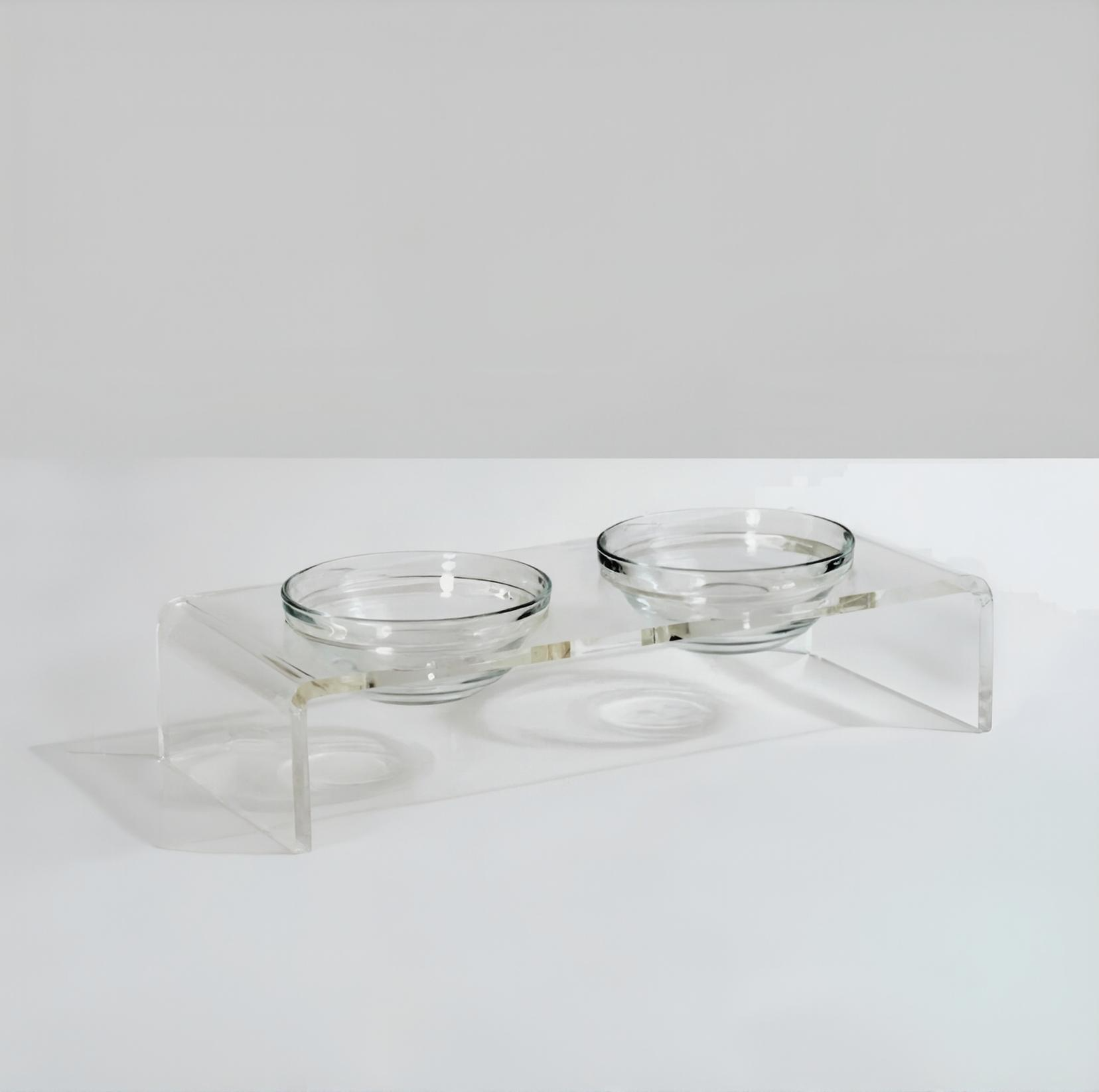 Clear Elevated Dog Bowl