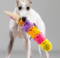 Load image into Gallery viewer, Squeaky Ice Cream Dog Toy
