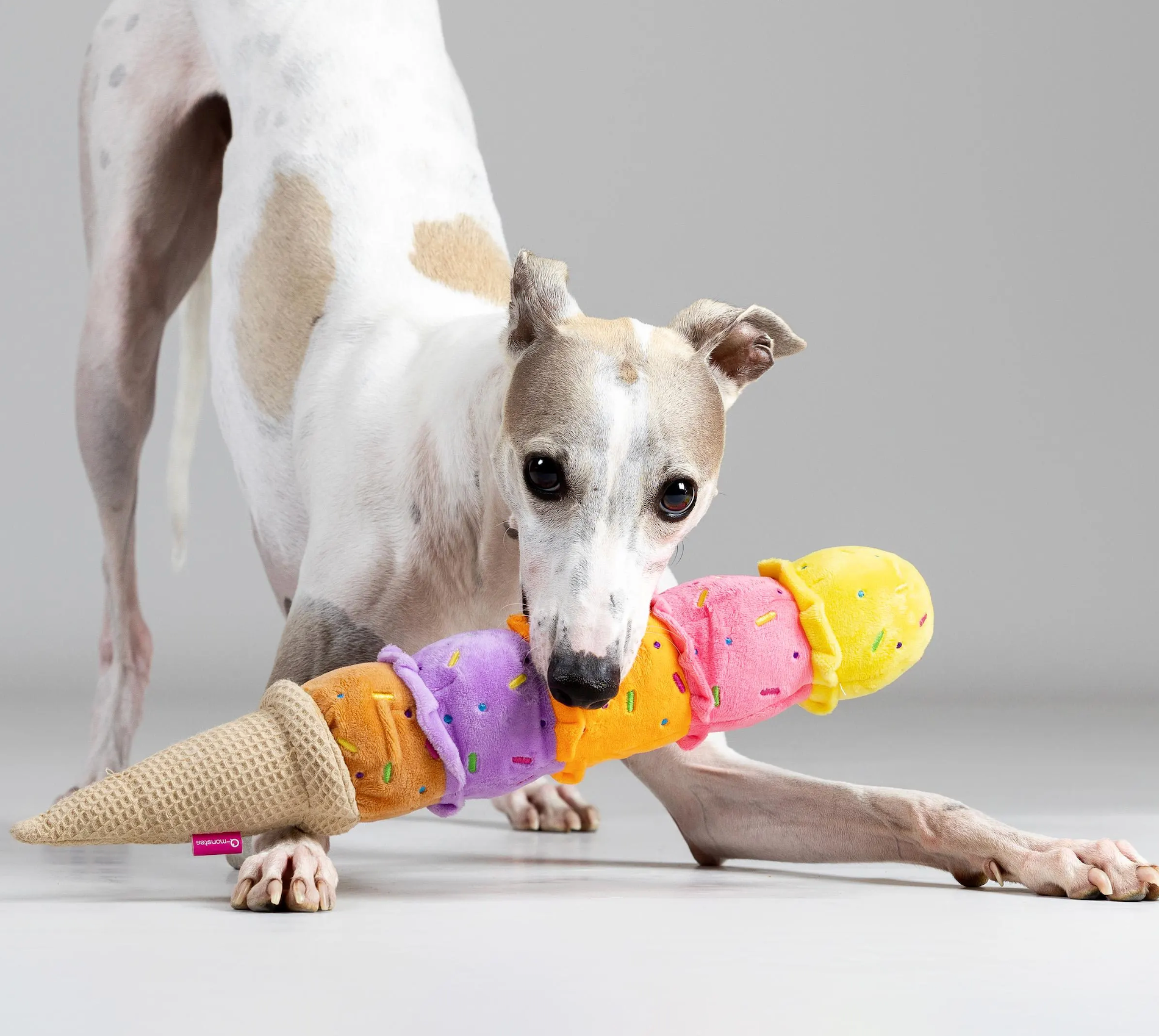 Squeaky Ice Cream Dog Toy