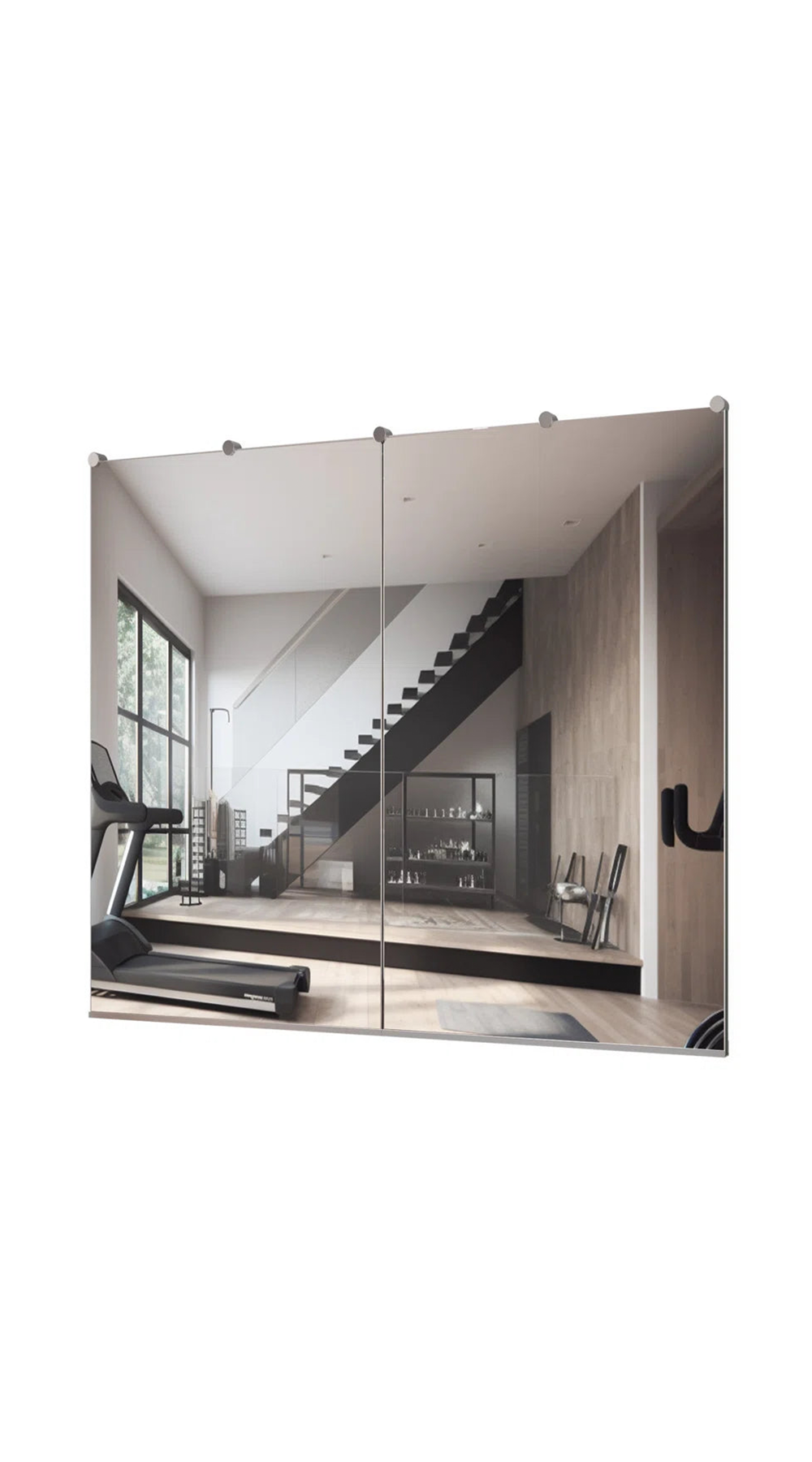 Home Gym Mirror