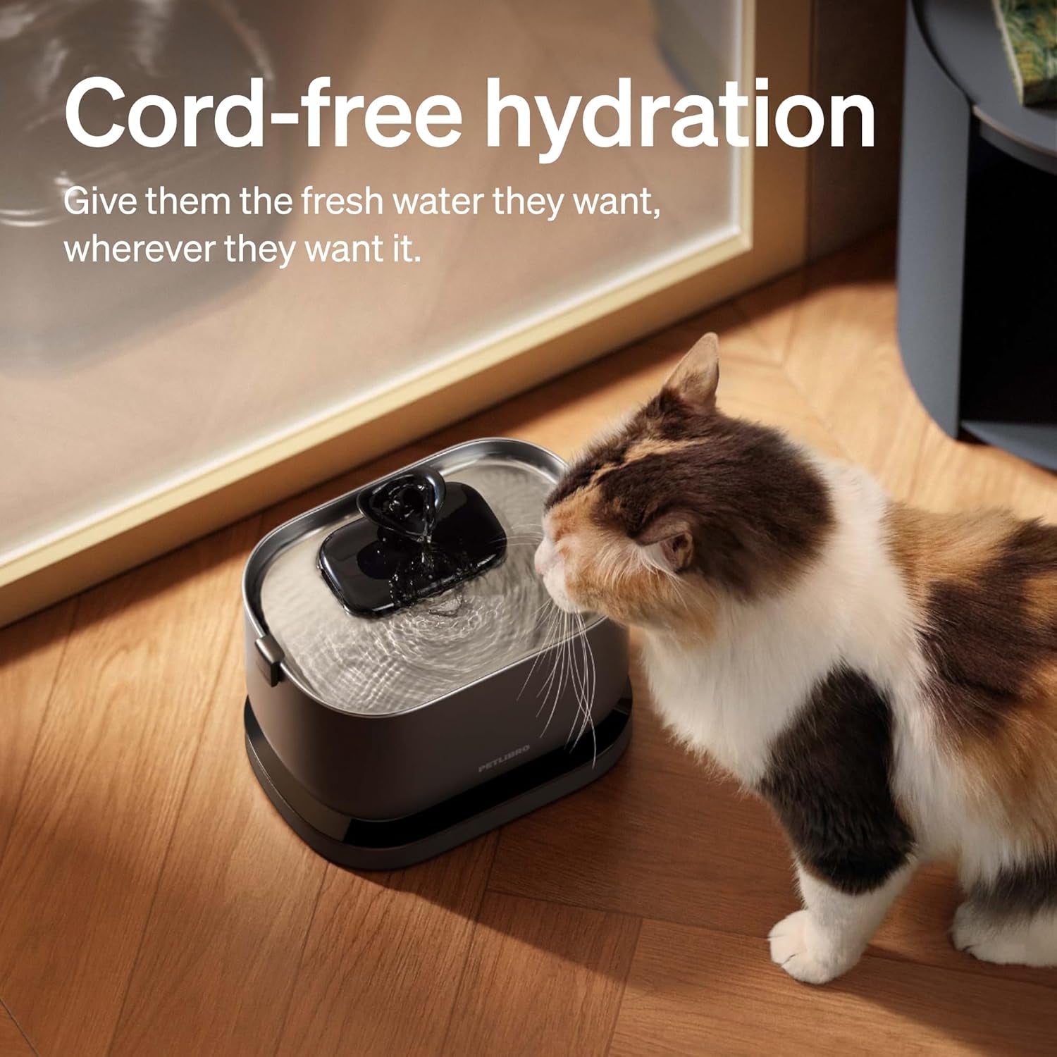 Cordless Pet Fountain 