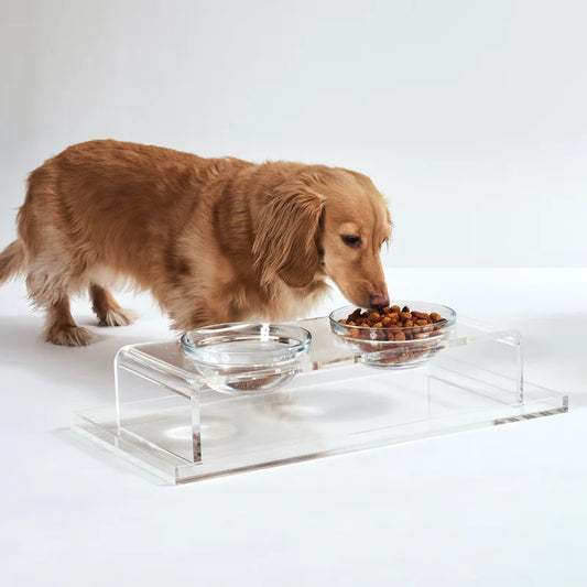 Glass Bowl Clear Elevated Feeder