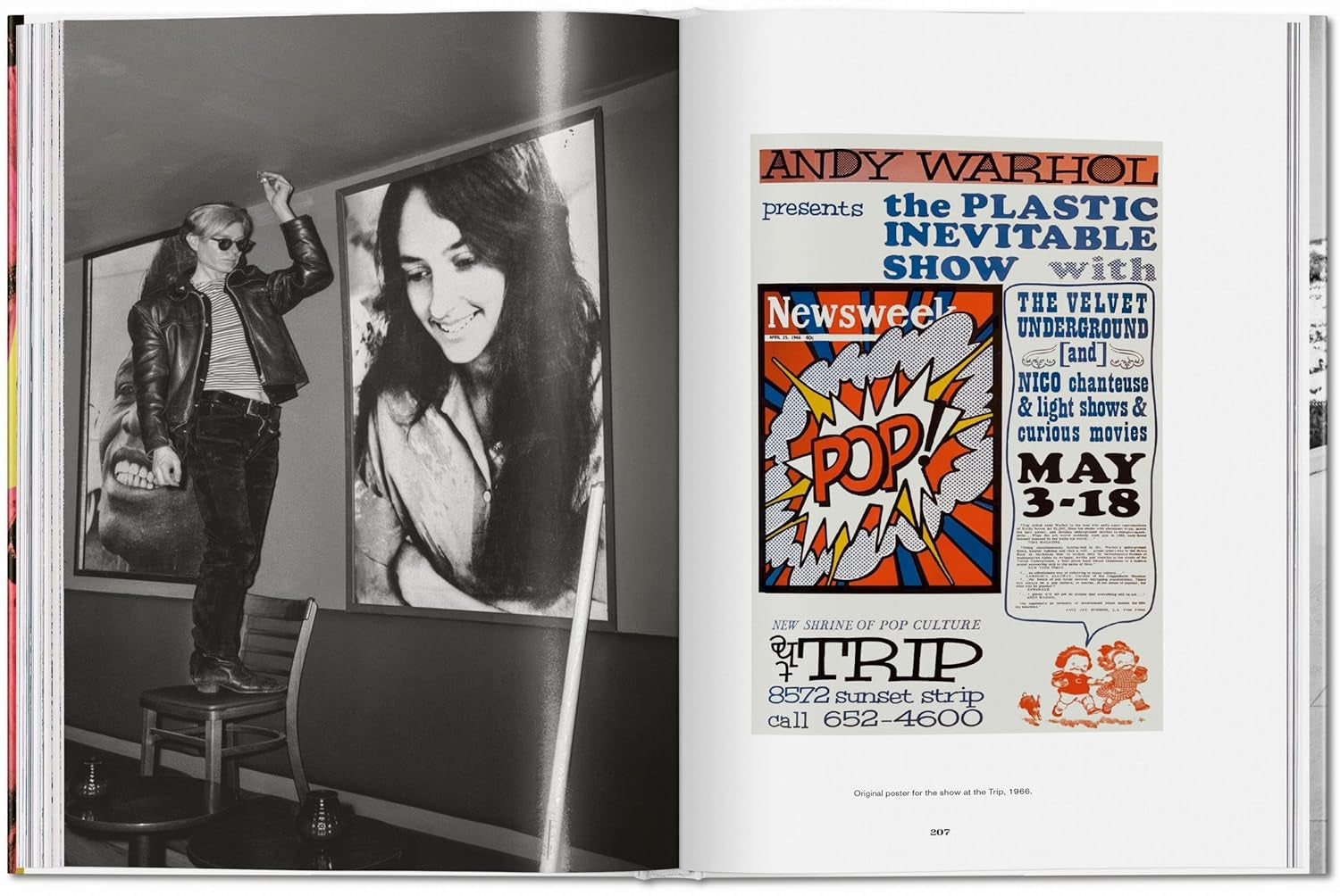 Andy Warhol Coffee Table Book