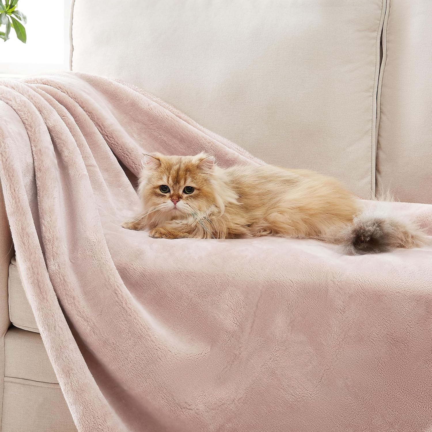 Pink Quartz by Ugg Soft Throw