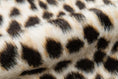 Load image into Gallery viewer, Acadia Performance Animal Print Indoor Rug
