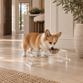 Load image into Gallery viewer, A corgi dog eats from a clear acrylic elevated double bowl set with glass bowls on a light wood floor in a bright, modern home interior.
