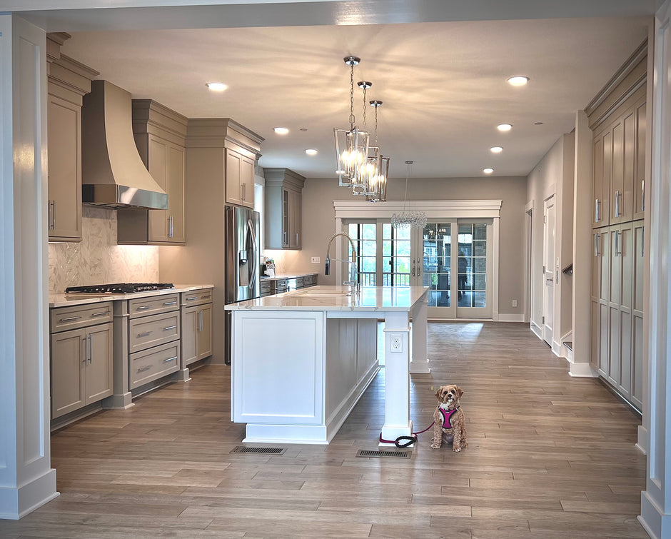 kitchen with white counters and range hood with dog