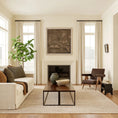 Load image into Gallery viewer, area rug in a decorated home under coffee table
