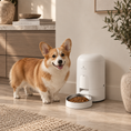 Load image into Gallery viewer, A corgi stands beside a white automatic pet feeder in a bright, modern room. The feeder has a bowl of kibble in front, and the dog looks toward the camera with its mouth open.
