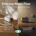 Load image into Gallery viewer, Dockstream Cordless Fountain
