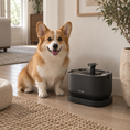Load image into Gallery viewer, A corgi dog sits on a wooden floor next to a black PetLingo automatic pet water fountain in a bright, modern living room.
