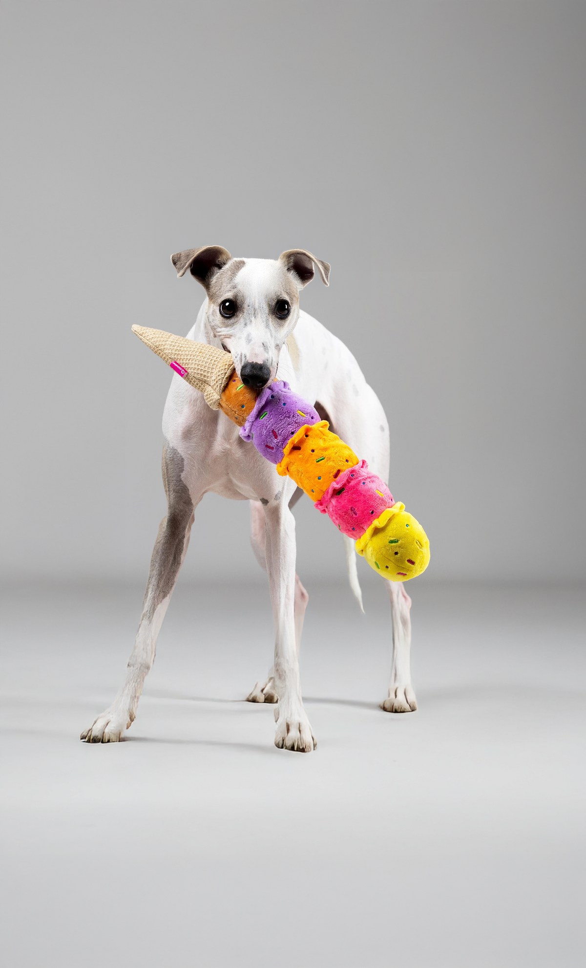 ice cream dog toy in dogs mouth