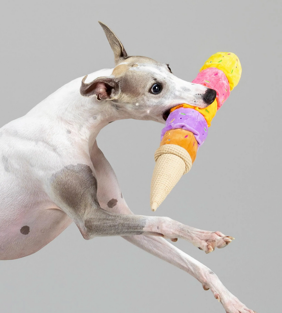 ice cream dog toy in dogs mouth side view