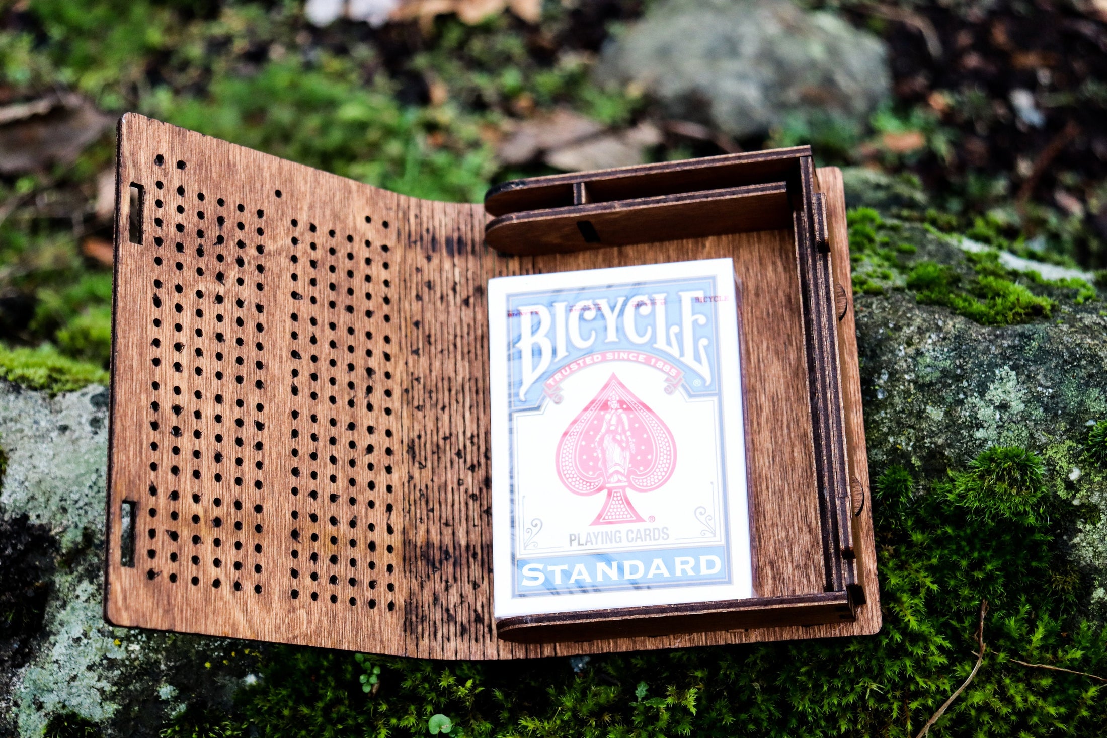 Cribbage Board