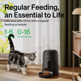Load image into Gallery viewer, Petlibro Automatic Pet Feeder
