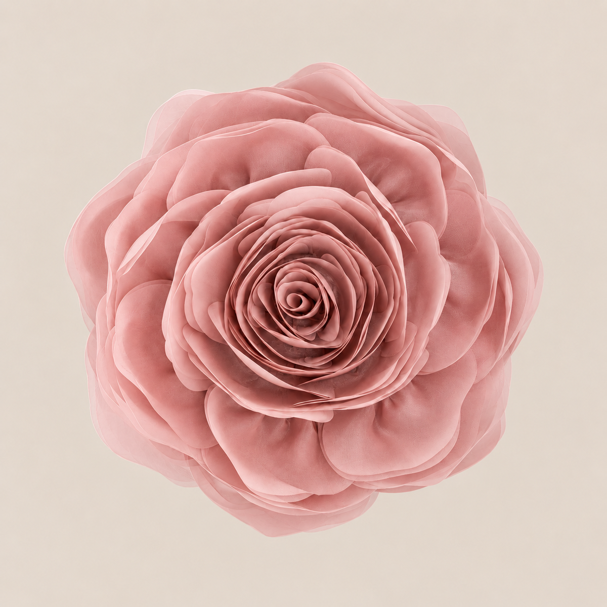 A single large pink rose centered on a plain warm beige background.