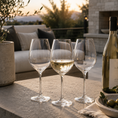 Load image into Gallery viewer, wine glass set outside on table
